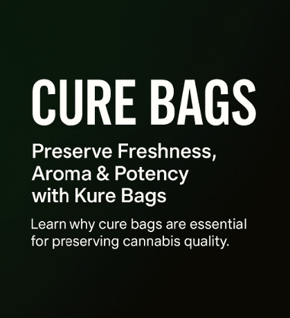 Cure Bags - The Key to Perfect Cannabis Preservation