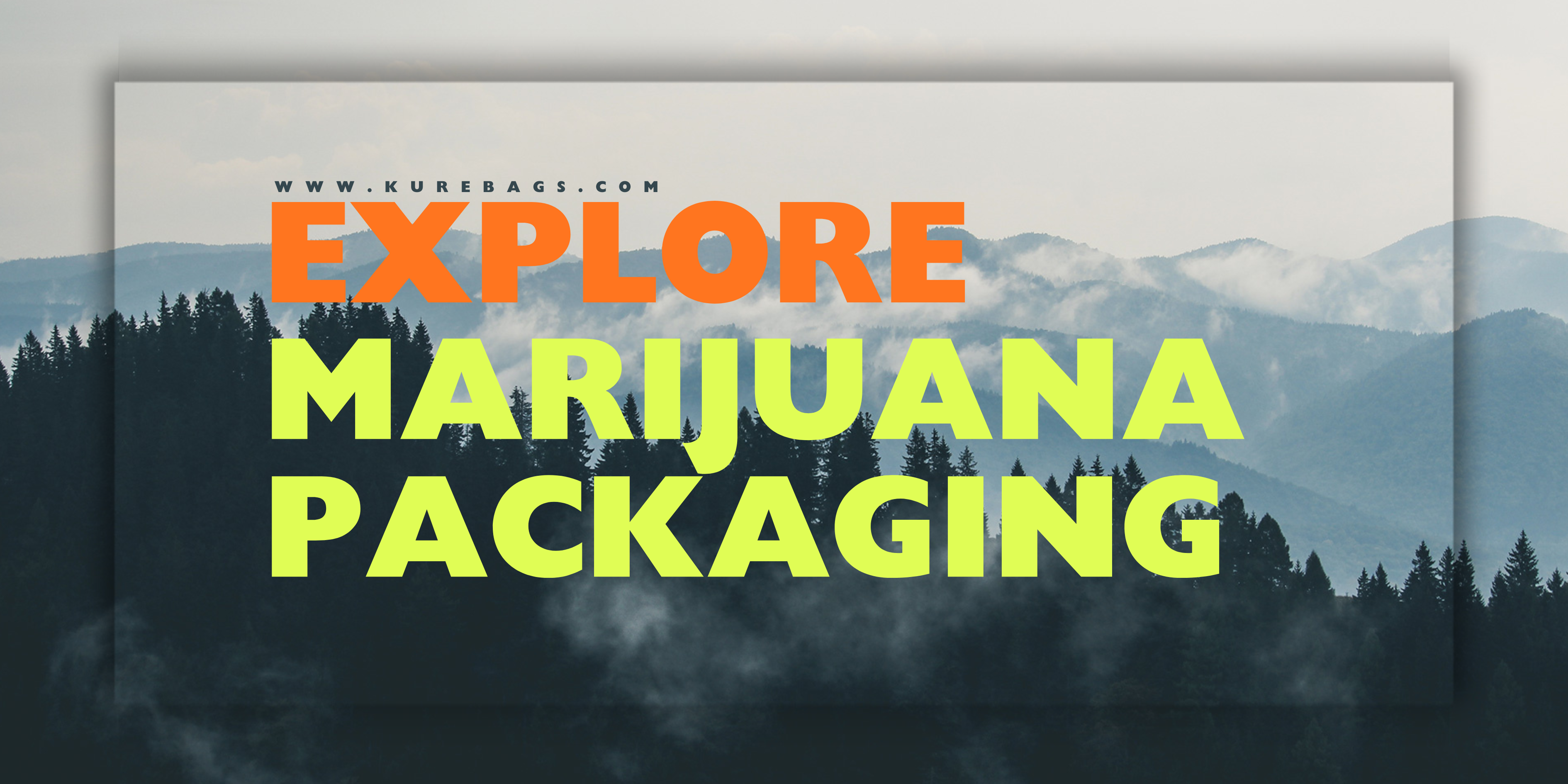 Marijuana Packaging Explained Freshness, Compliance & Branding in the Modern Cannabis Market