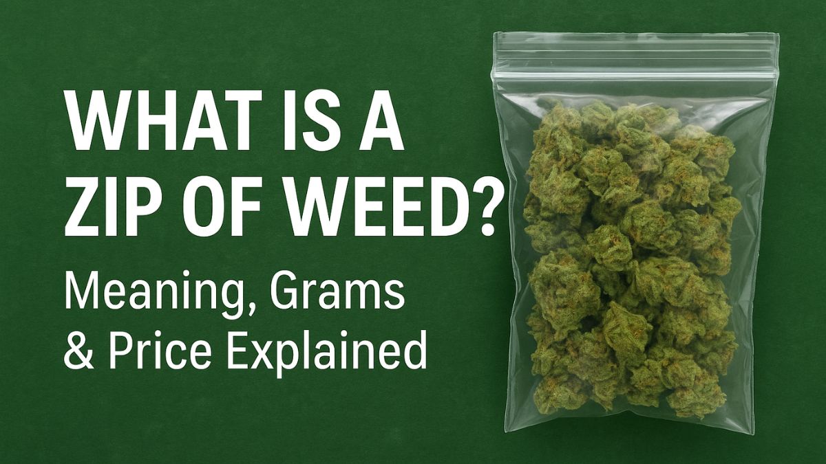 Zip of weed in a clear bag – what is a zip of weed explained with grams and pricing