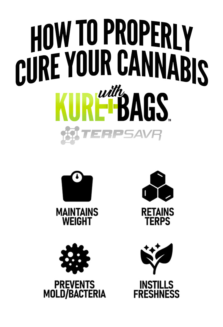 How to cure cannabis with TerpSavr – mobile banner.