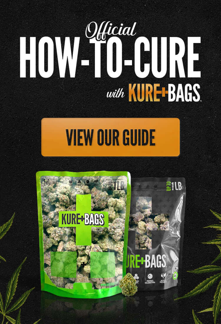 Kure Bags smell proof bag for curing – official how to cure guide (mobile)