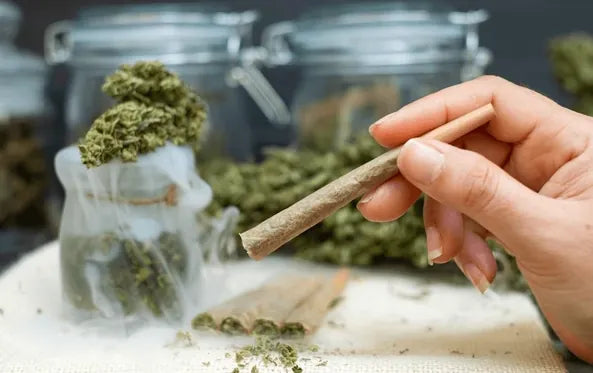 Weed Bags That Work From Weed Curing to Storing and Selling